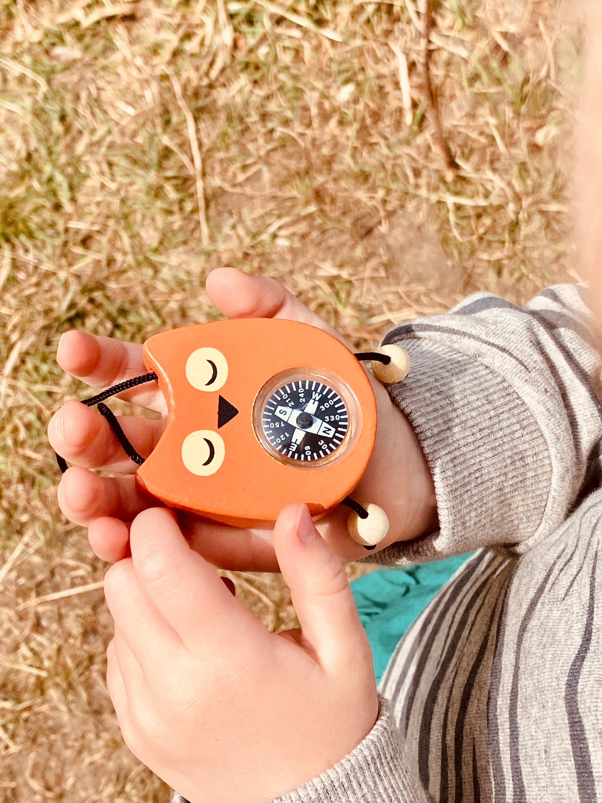 child play compass