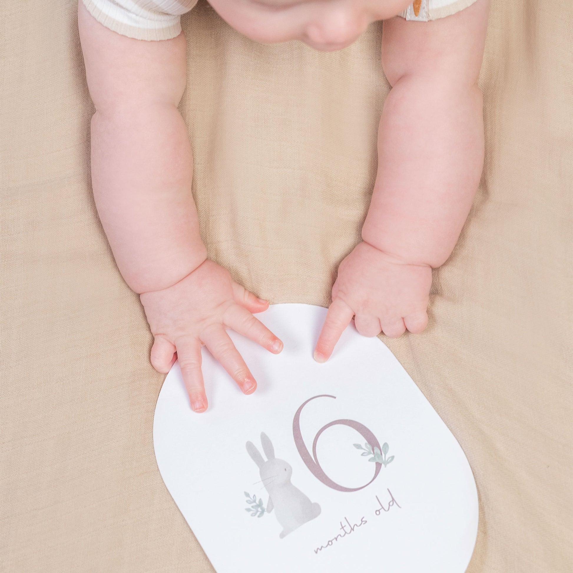 6 months old - Little Dutch Baby Milestone Cards - Baby Bunny