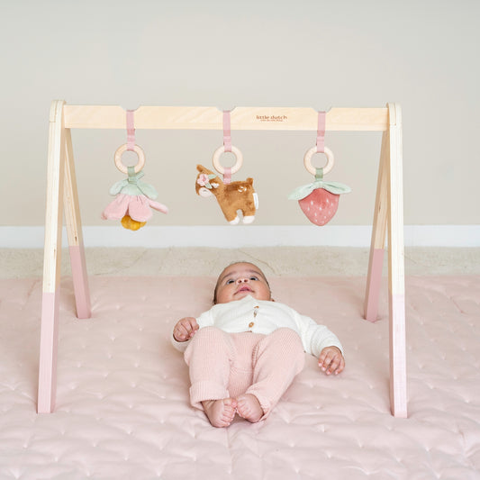 Little Dutch Baby Play Gym - Fairy Garden