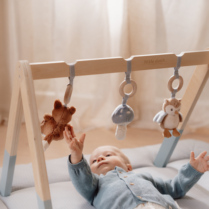 Little Dutch Baby Play Gym - Forest Friends