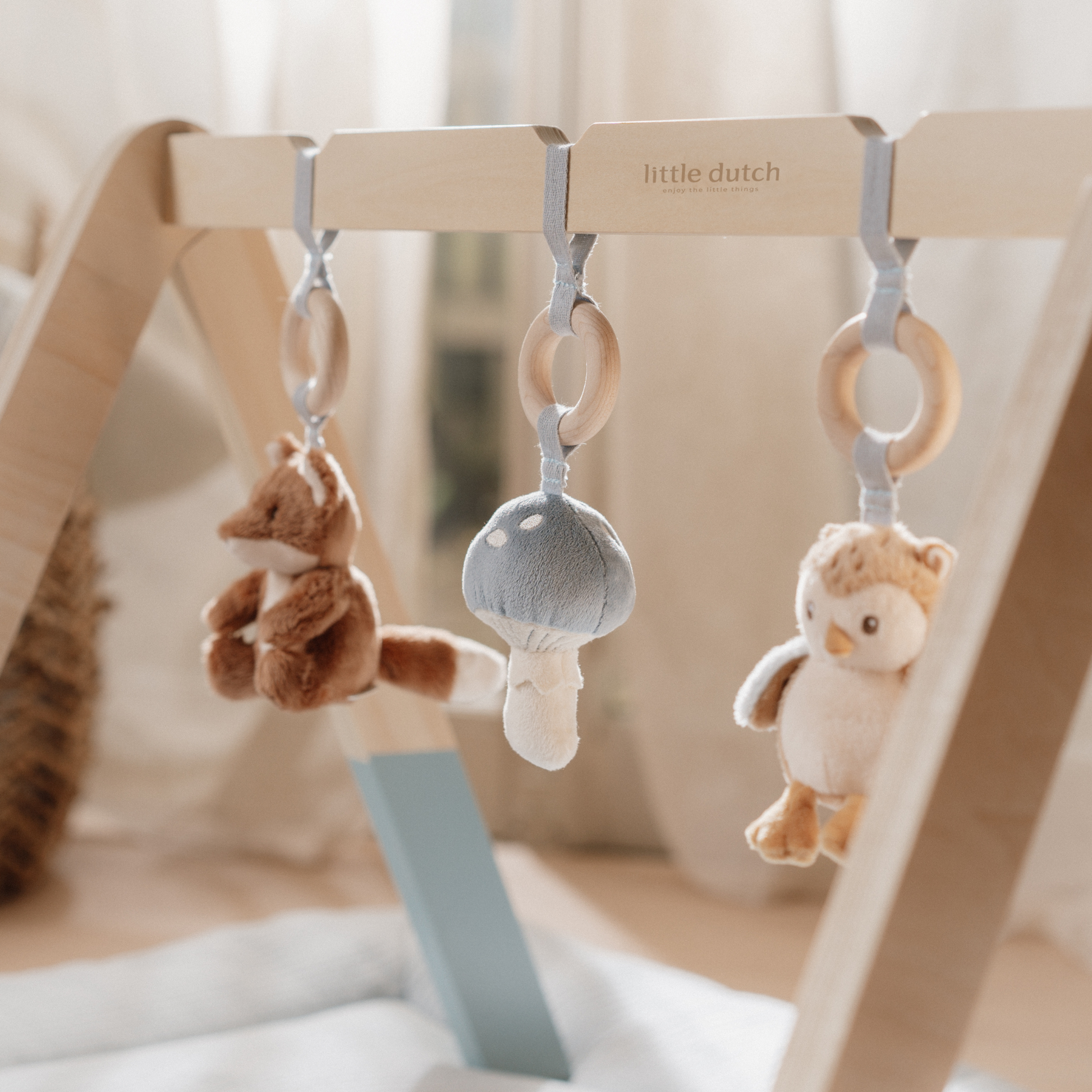 Little Dutch Baby Play Gym - Forest Friends