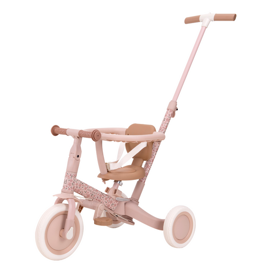 Little Dutch 4 in 1 Trike - Pink