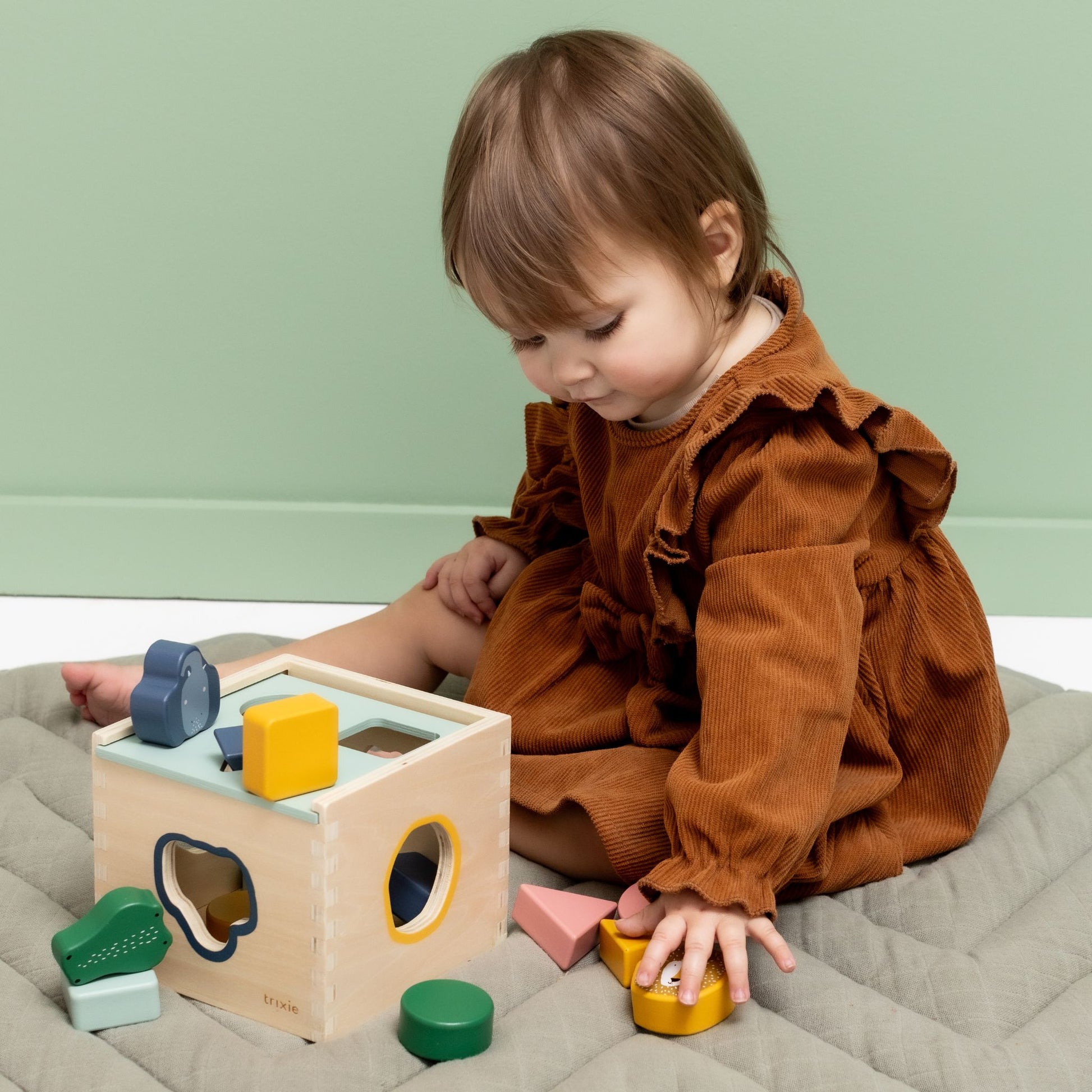 Trixie Wooden Shape Sorter
