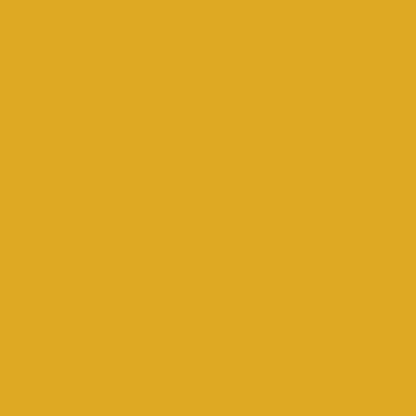 Mustard Made The Standard - Mustard Colour Swatch