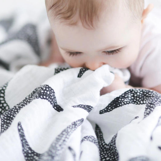 Etta Loves XL Sensory Muslin - Starfish