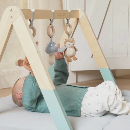 Little Dutch Baby Play Gym - Forest Friends Video