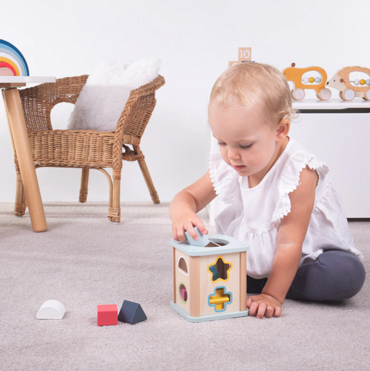 Bigjigs Toys Wooden Shape Sorter