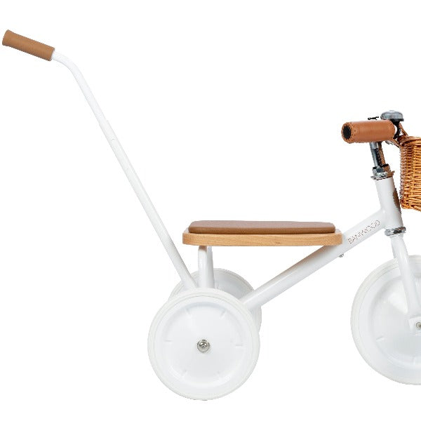 Scandiborn trike 2024