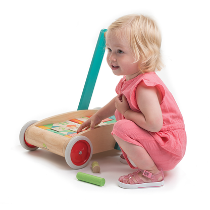 Tender Leaf Toys Baby Block Walker