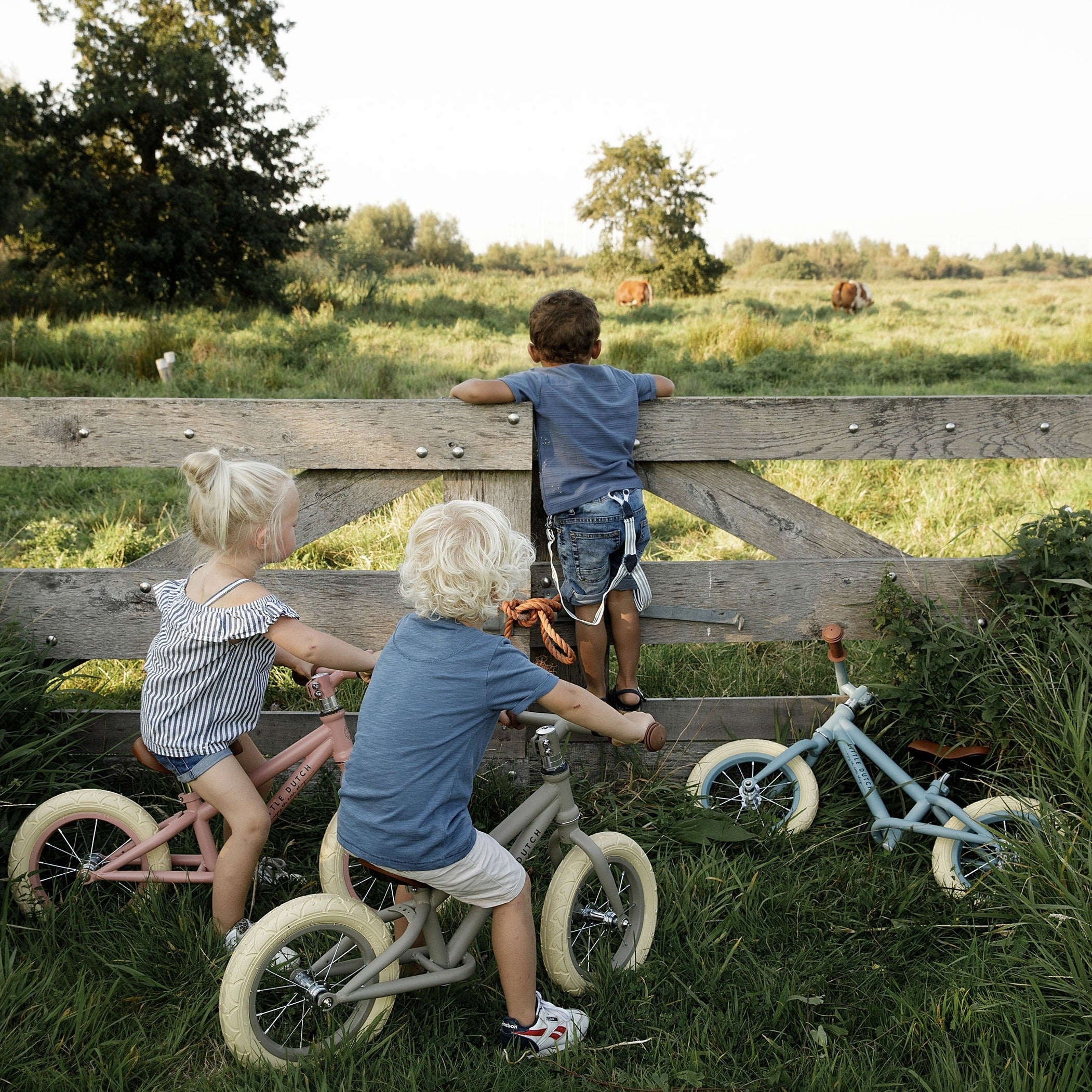 Little Dutch Balance Bike Matte Olive