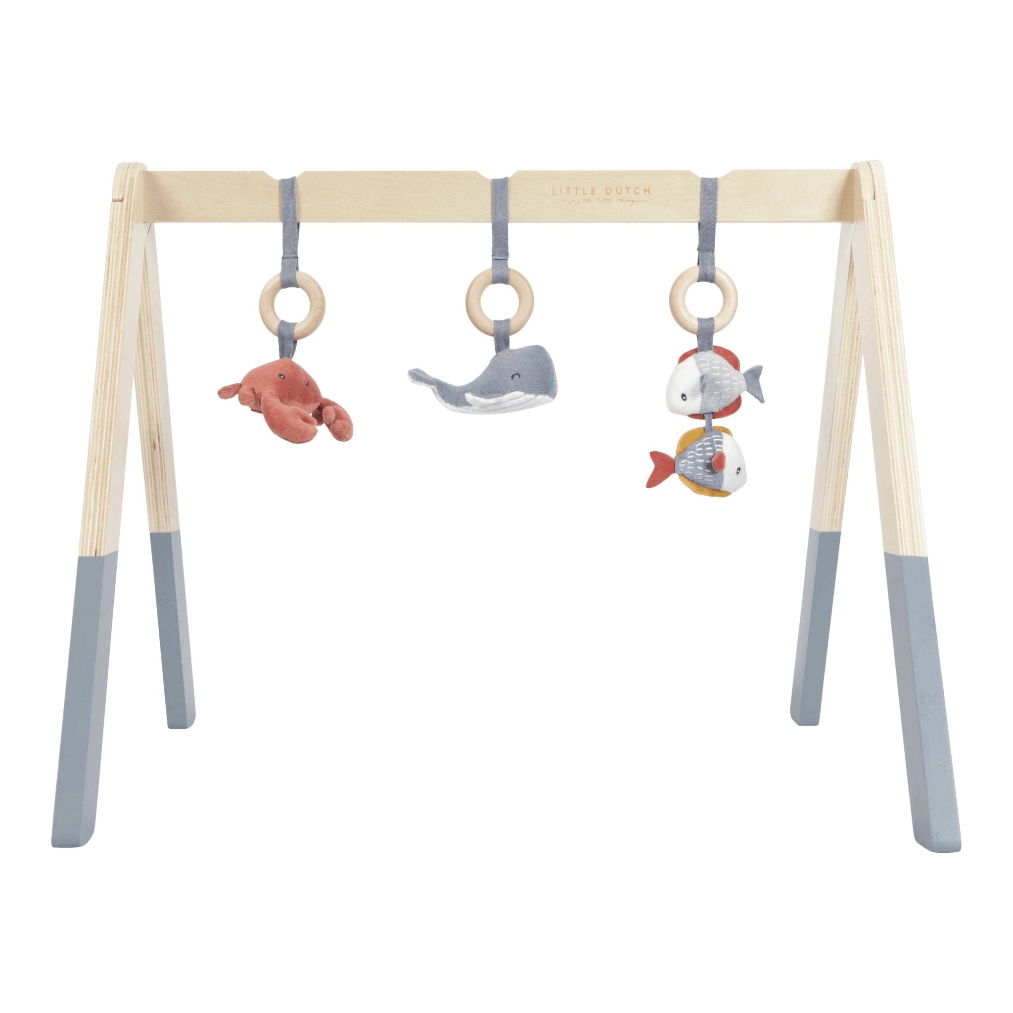 Ocean best sale play gym